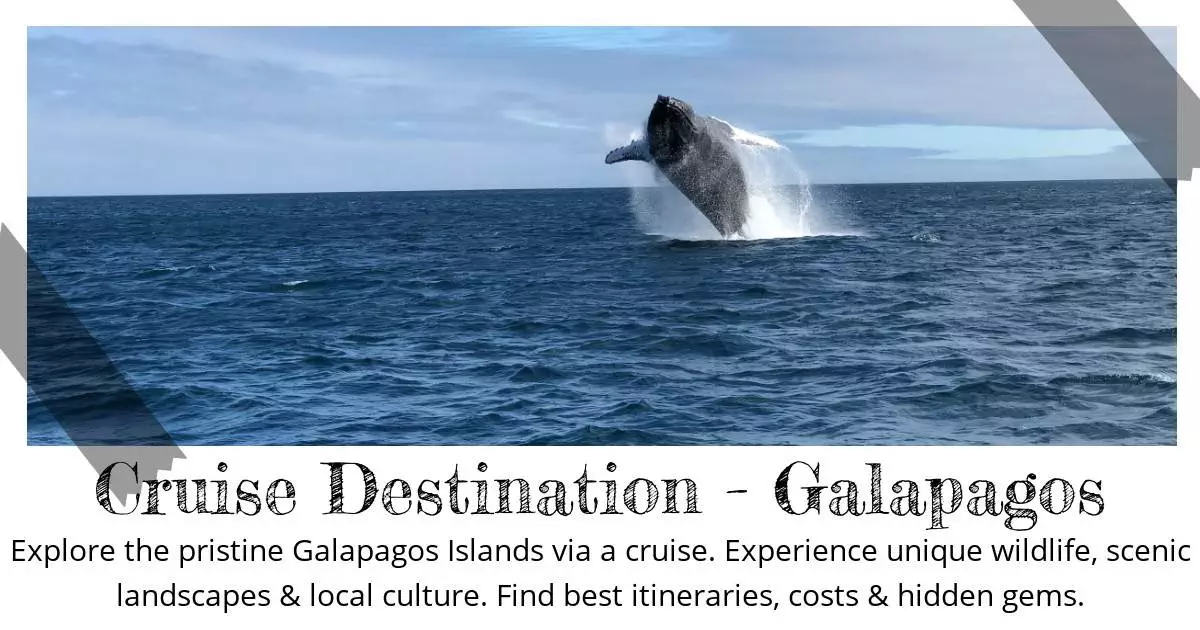 Cruise Destination - Galapagos - Destination Guide