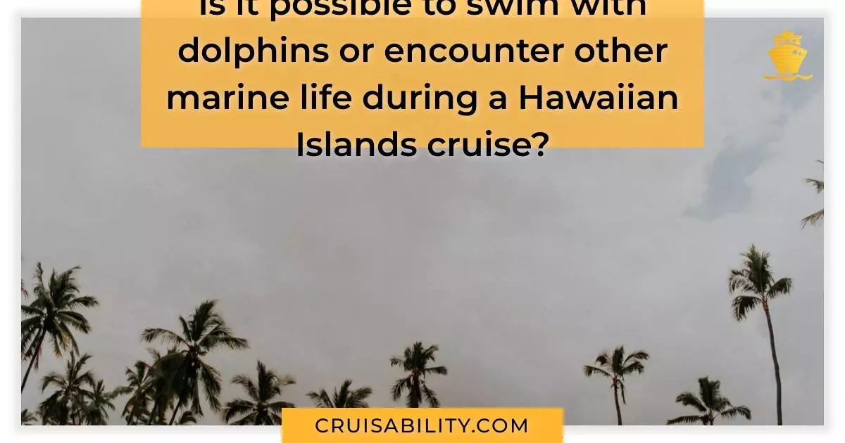 Is it possible to swim with dolphins or encounter other marine life during a Hawaiian Islands cruise?