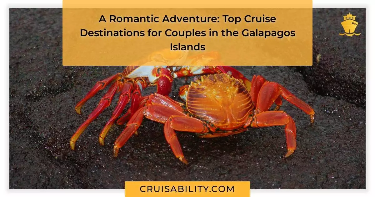 A Romantic Adventure: Top Cruise Destinations for Couples in the Galapagos Islands