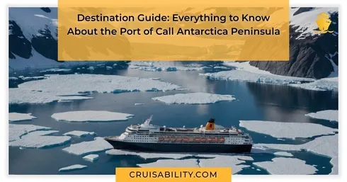 Destination Guide: Everything to Know About the Port of Call Antarctica Peninsula